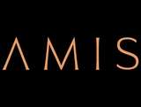 Developer logo