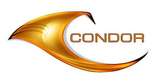 Developer logo
