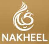 Developer logo