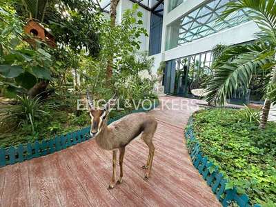 realestate photo 1