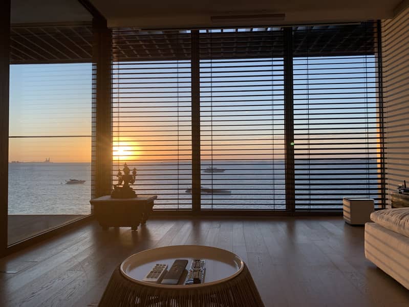 realestate photo 1